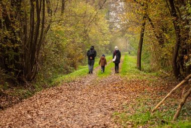 Family walking on a scenic autumn forest path in rural Croatia.